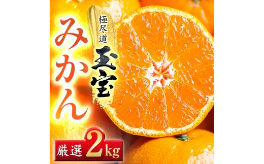 ＜愛媛名産＞玉宝みかん 2kg＜A64-84＞【1623967】 YWTY073