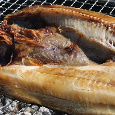 ふるさと納税 稚内市 【 北海道 の 居酒屋 気分!】 一夜干し 開き ホッケ ( 4枚 ) |  | 01