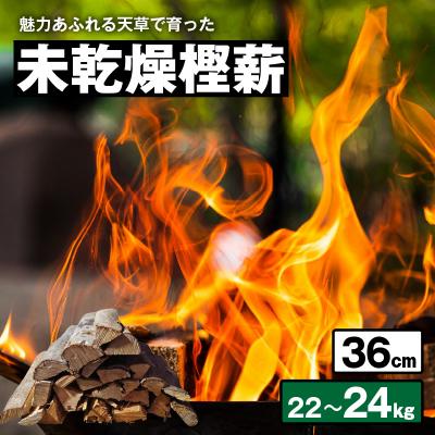 ふるさと納税 天草市 魅力あふれる天草で育った未乾燥樫薪(天樫　長さ36cm　22〜24kg)_S163-008
