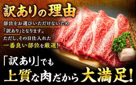 【訳あり】博多和牛 しゃぶしゃぶ すき焼き 750gセット＜株式会社MEAT PLUS＞那珂川市 牛肉 肉 黒毛和牛 ブランド牛 国産  BBQ バーベキュー  10000 10000円 [GBW04