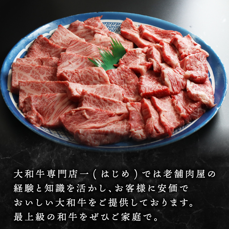 H-45 大和牛 焼肉セット