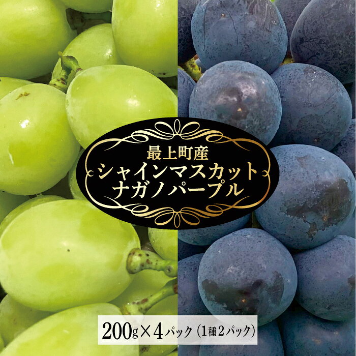 【ふるさと納税】最上町産【シャインマスカット＆ナガノパープル】各200g×2P