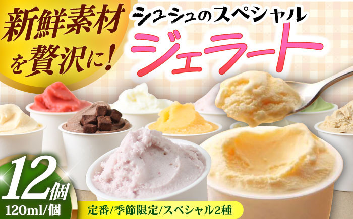 
                  シュシュのスペシャルジェラート12個セット（定番/季節限定/スペシャル2種） / アイス あいす アイスクリーム あいすくりーむ ジェラート じぇらーと スイーツ すいーつ 果物 フルーツ こだわり セット 詰め合わせ  手作り 濃厚 デザート 人気 グルメ お取り寄せ 12個 おやつ ふるさと納税 おすすめ ご当地/ 大村市 / おおむら夢ファームシュシュ[ACAA038]
                