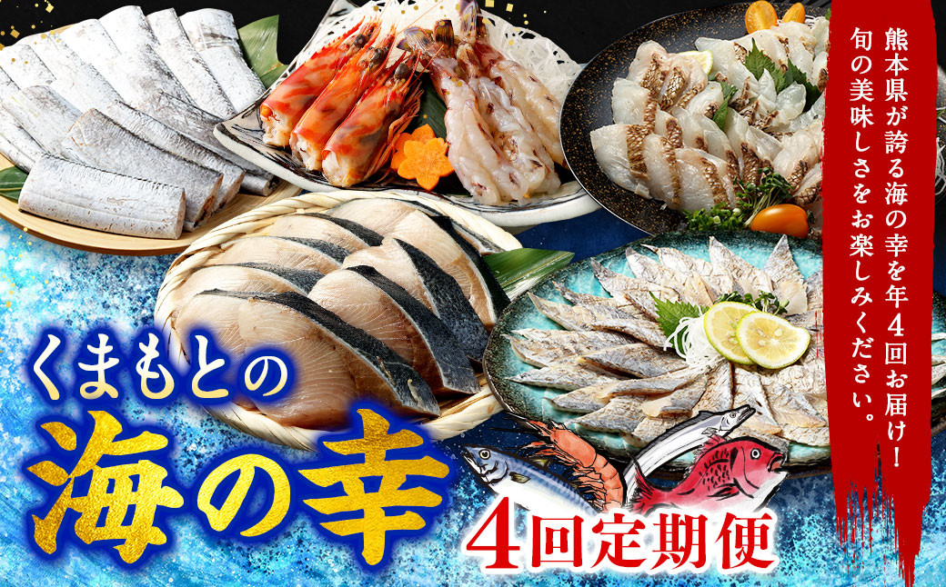 
            【年4回定期便】くまもとの海の幸 定期便 ／ 4回 ぶり 鯛 太刀魚 くるまえび 魚 海老 海の幸 海産物 海鮮 切身 スライス 料理 グルメ 旬 熊本県 冷凍
          
