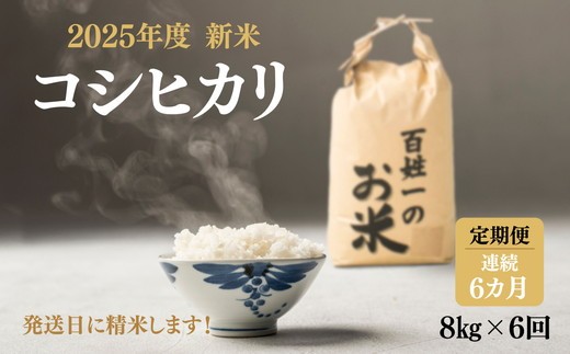 
                  128-1001　【6回定期便】石井町産コシヒカリ8kg×連続6カ月 ※離島への配送不可
                
