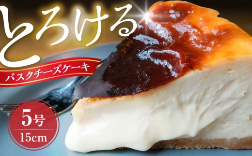 シキノネのチーズケーキ プレーン 5号(15cm) 《豊前市》【sikinone】[VEU001] ケーキ ちーずけーき 5号 ケーキ チーズケーキ 人気 cake お菓子 スイーツ 記念日