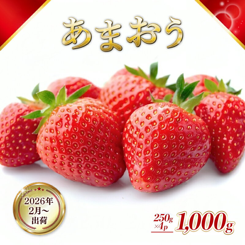 【ふるさと納税】いちご 福岡県産 あまおう 1000g (250g×4パック) 先行予約 2025年2月より順次発送 果物 デザート ※配送不可：離島 　お届け：2026年2月10日～3月20日
