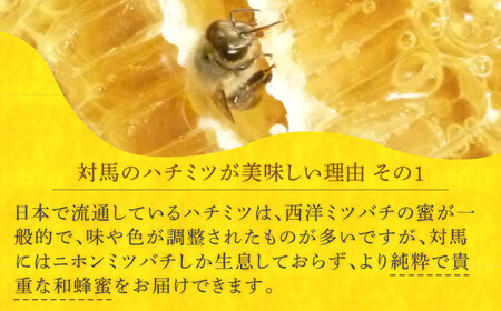 【全3回定期便】 対馬 和蜂 はちみつ 100g×1本 《対馬市》【特定非営利活動法人 對馬次世代協議会（対馬コノソレ）】 蜂蜜 ハチミツ 日本ミツバチ ニホンミツバチ[WAM043]