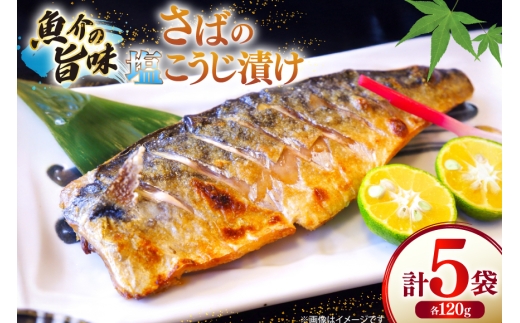 鯖 さば 漬け魚 漬魚 塩麹 塩こうじ 冷凍 魚 切り身 サバの塩こうじ漬け 5袋 (約120g/袋) [ひかり 長崎県 平戸市 hr42bgy420367] 焼き魚 焼魚 海鮮 漬け づけ お取り寄せ ギフト 真空 真空パック 個包装 小分け お取り寄せ