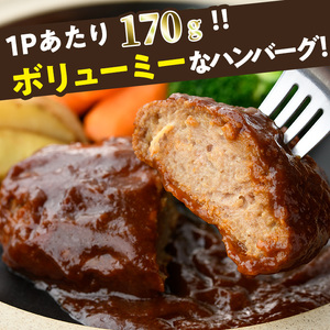 デミグラスハンバーグ(計3.4kg・170g×20個) 簡単調理 温めるだけ 豚肉 デミグラスソース 洋食 湯煎 お肉 牛肉 ソース 冷凍 個包装 国産 おかず 惣菜 レンジアップ 【C-28】【株式