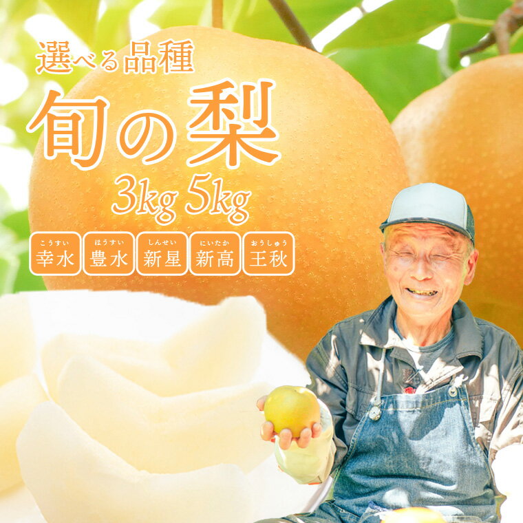 【ふるさと納税】＜ 先行予約 ＞【選べる内容量 / 品種】【2026年08月上旬以降発送】片野果樹園 幸水 豊水 新星 かおり 新高 王秋 梨 約 3kg 5kg なし ナシ フルーツ 果物 旬 産地直送 国産 茨城県