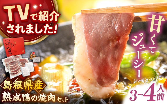 
                  鴨肉 テレビ番組で紹介されました！島根県産野草ミネラル熟成鴨の焼肉セット（3〜4人前）【美味しい食べ方レシピ付き】鴨鍋 鴨肉 焼肉 しゃぶしゃぶ おすすめ 人気 国産 かも カモ肉 鍋セット 肉 熟成肉 お肉 焼き肉 BBQ バーベキュー 家族 ファミリー 贈答 贈り物 ギフト お祝い お取り寄せ グルメ 詰め合わせ 記念日 誕生日 お誕生日 島根県雲南市/鴨専門店カナール [AIDC001]
                