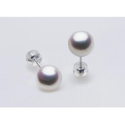 ふるさと納税 長崎市 PT900 / 8.5mm アコヤ真珠　ピアス