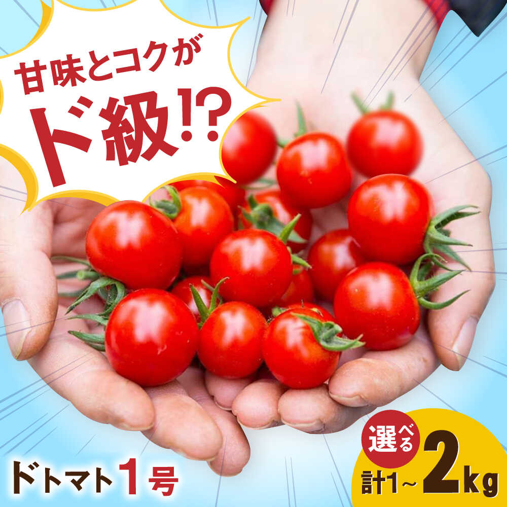 【ふるさと納税】【選べる内容量】ドトマト1号 1kg-2kg / トマト とまと サラダ 野菜 / 佐賀県 / 永尾産ち[41AAAC001]
