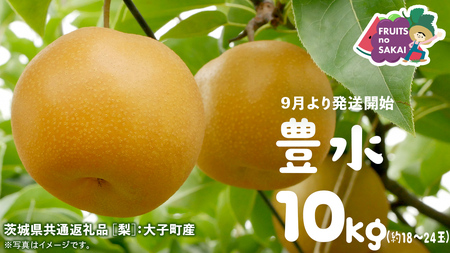 豊水 梨 10kg （18～24玉）【2026年9月より発送開始】（茨城県共通返礼品 [梨]：大子町産）