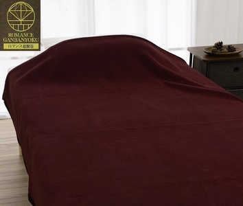 ROMANCE 岩盤浴プレミアム マイヤー毛布 シングル レッド 33008700｜寒さ対策 あったか 軽い ニューマイヤー毛布 ブラックシリカ練りこみ 抗菌防臭 毛布 洗える [4282]