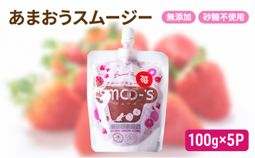 スムージー 100g×5P 福岡県産 あまおう いちご 無添加 砂糖不使用 イチゴ 苺 パウチ