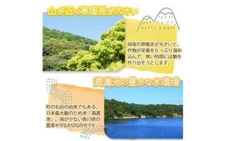 ＜先行予約！2026年6月上旬以降順次発送予定＞ホワイトコーン(約3kg/通常品) 香川県 国産 とうもろこし トウモロコシ 新鮮 冷蔵便 【man110・man111】【Aglio nero】