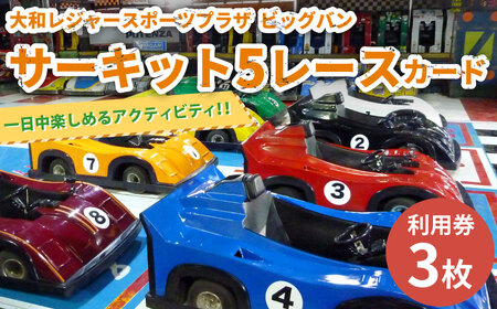 サーキット 5レースカード×3枚セット 大和レジャー スポーツプラザ ビッグバン 室内サーキット スリックカート ドリフト走行 チケット 利用券 室内 スポーツ アミューズメント 神奈川県 大和市 送料無料