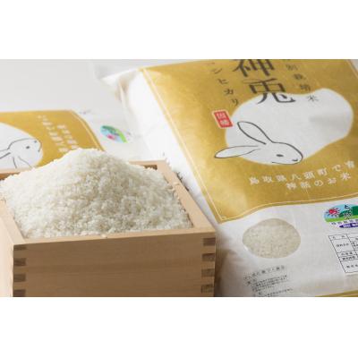 ふるさと納税 八頭町 【令和7年産米】特別栽培米コシヒカリ「神兎」20kg |  | 01