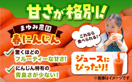 【先行予約】【4月中旬より順次発送】 春にんじん10kg(訳あり)  にんじん BHCW002