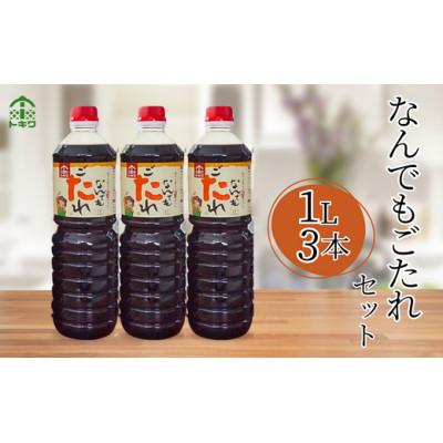 ふるさと納税 香美町 【なんでもごたれセット  1L×3本】16-20