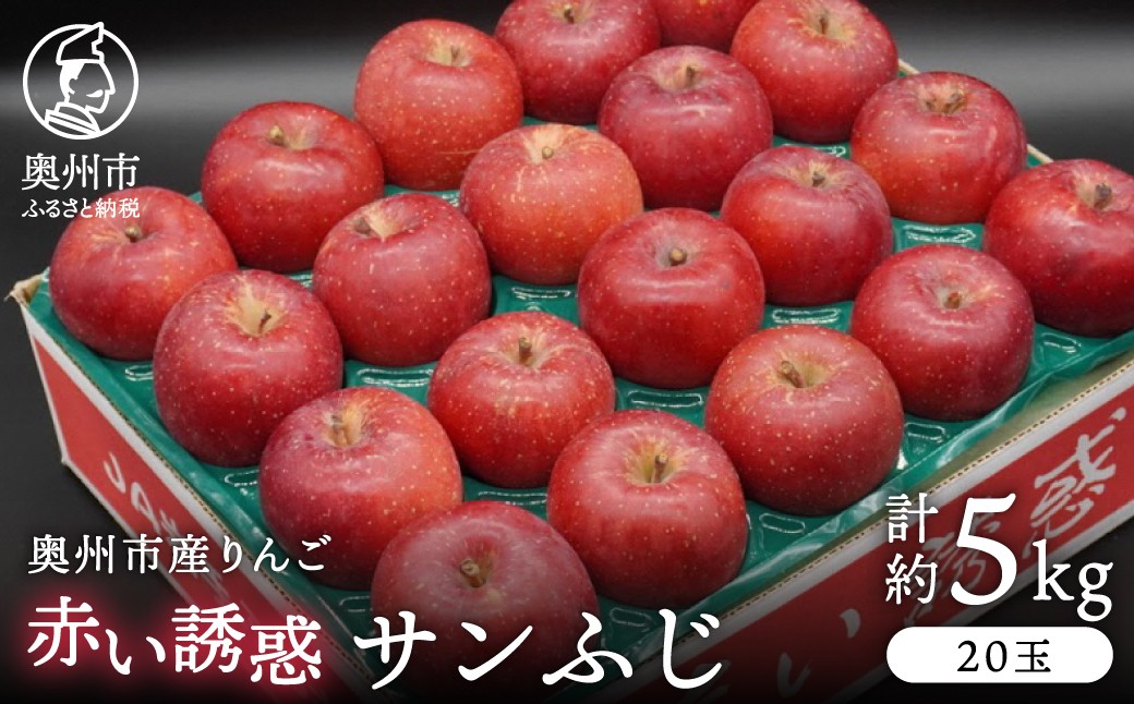 
                  奥州市産りんご 赤い誘惑「サンふじ」 約5kg (20玉) 厳選 林檎 りんご サンフジ フルーツ 果物 期間限定 数量限定 自宅用 家庭用 贈答 ギフト [AQ078]
                