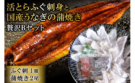 
AF050活とらふぐ刺身と国産うなぎの蒲焼き贅沢Bセット（ふぐ刺1皿・蒲焼き2尾）
