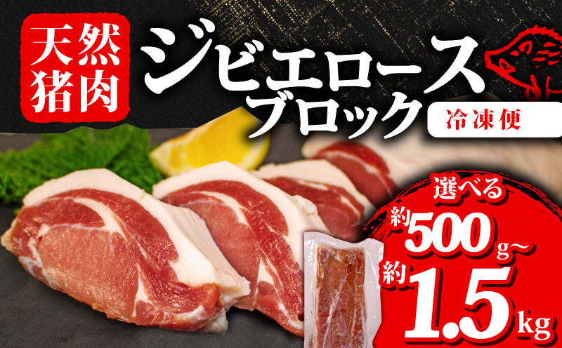 
            選べる 容量 ジビエ ロース ブロック 約500g~約1.5kg 冷凍 小分け 猪肉 天然 ロース肉 イノシシ肉 いのしし肉 ステーキ 焼肉 BBQ バーベキュー カレー シチュー アウトドア キャンプ ヘルシー 健康 ジビエ料理 肉料理 家庭料理 肉 伊勢 志摩 三重県
          
