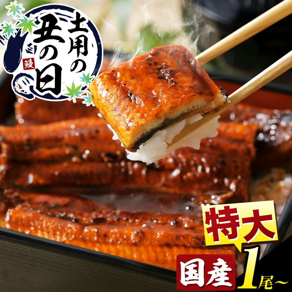 【ふるさと納税】土用の丑の日予約！数量限定『特大』1尾 3尾～6尾 きざみ鰻付 《3-7営業日出荷》ふるさと納税 うなぎ 鰻 鰻の蒲焼き 高級 徳島県 上板町 ウナギ 土用の丑の日 贈答 夏ギフト