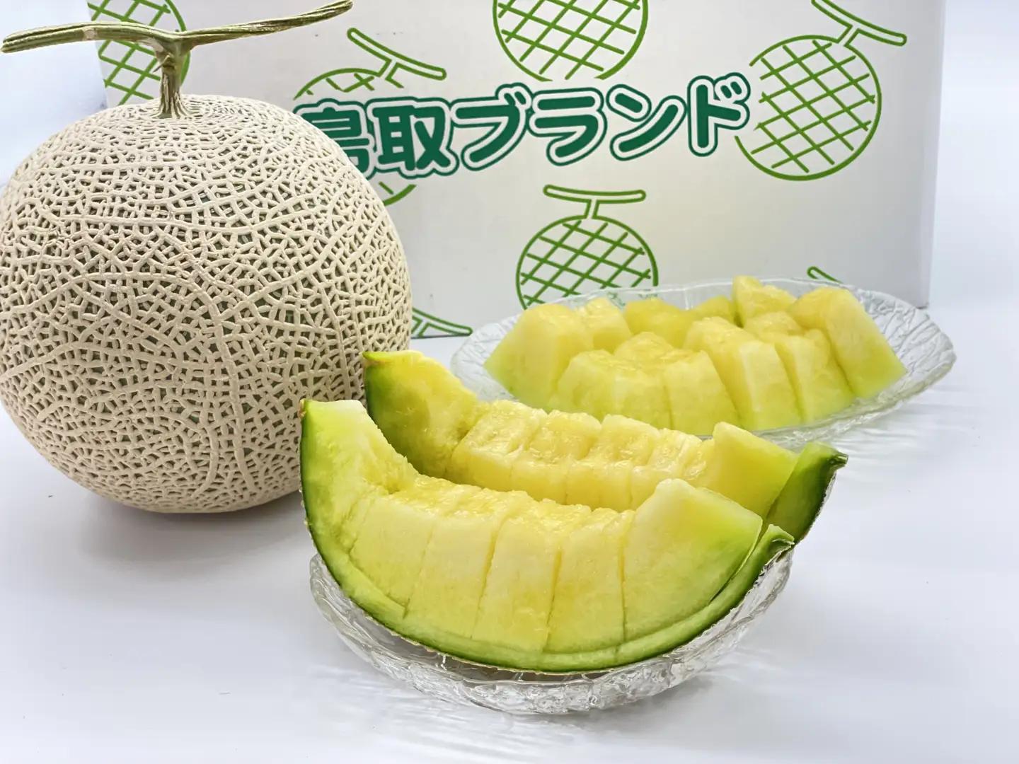 ベネチアメロン 約2.7kg【倉吉産】（7月発送） 2026 メロン
