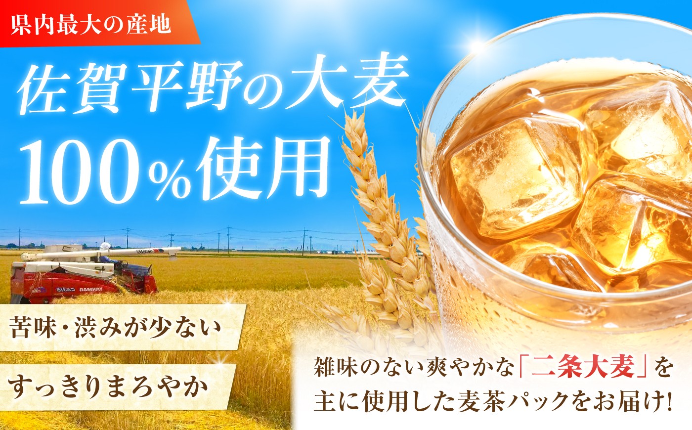 麦茶 むぎ茶 むぎちゃ barley tea 国産 ティーバッグ 煮出し 水出し