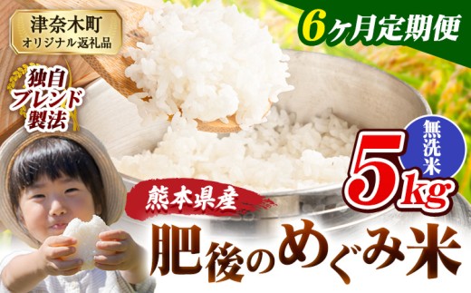 【6ヶ月定期便】無洗米 熊本県産 ブレンド米 肥後のめぐみ米 5kg 熊本県産 ふるさと納税 精米 米 こめ ふるさとのうぜい コメ お米 おこめ《お申込み翌月から出荷》
