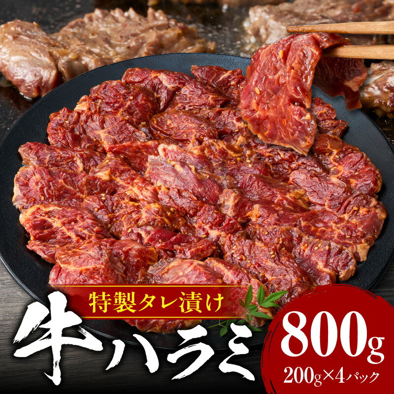 【ふるさと納税】牛ハラミ 肉屋こだわりの特製タレ漬け 【800g（200g×4P）】・T133 希少部位 小分けパック 使い切り ハラミ 牛肉 味付き 焼くだけ 簡単調理 牛 焼き肉 タケシタミート お肉屋さん厳選！ハラミ 送料無料