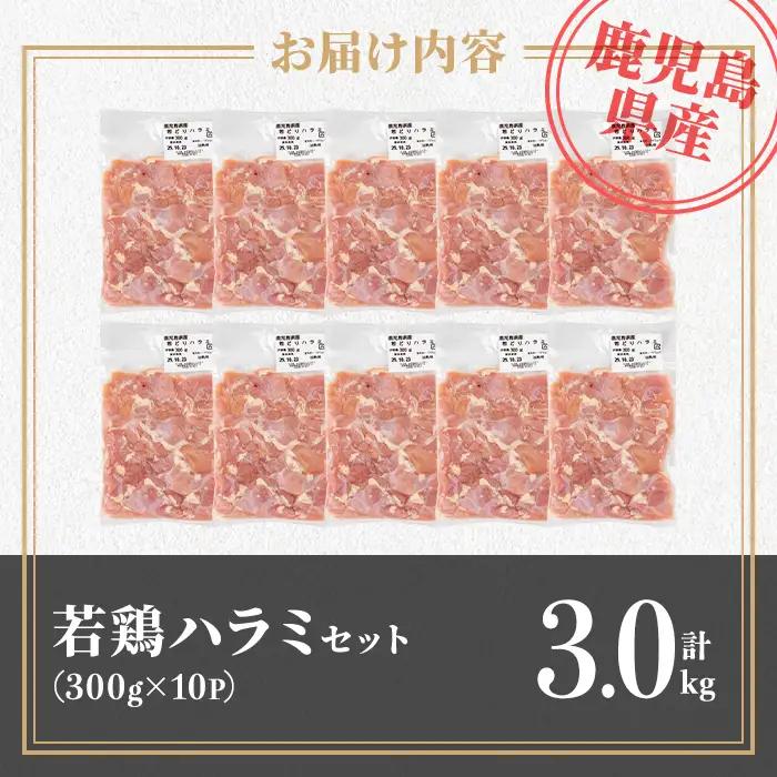 isa716 鹿児島県産若鶏ハラミセット(計3kg・300g×10P) 鹿児島県産 国産 鶏肉 鳥肉 とり肉 ハラミ 希少部位 炭火焼き 焼肉 BBQ 炒め料理 おつまみ 真空 小分け 【TRINIT
