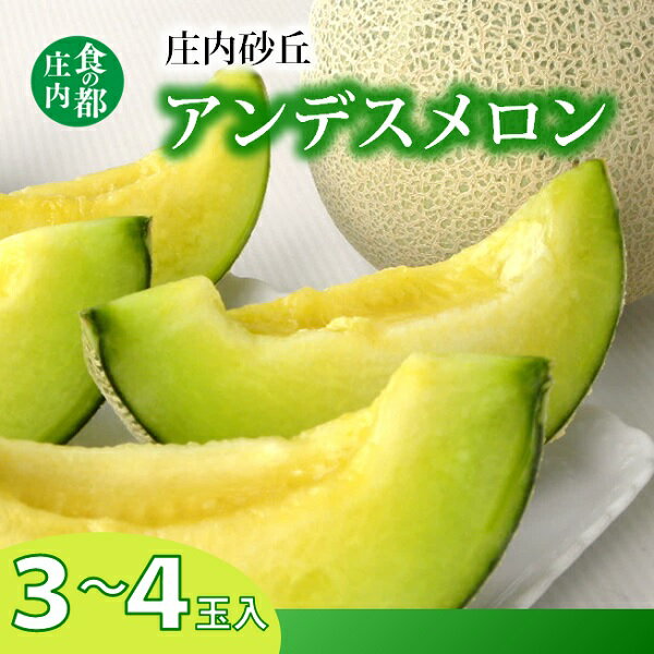 【ふるさと納税】食の都庄内【令和7年産】プロの技！庄内砂丘アンデスメロン　※令和7年7月頃より順次配送予定（産直みかわ事業協同組合）