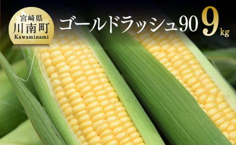 【令和7年発送】政岡さんちのスイートコーン『ゴールドラッシュ90』9kg 【 先行予約 数量限定 期間限定 とうもろこし スイートコーン 2025年発送 先行受付 宮崎県産 九州産 野菜 】 [D06503]