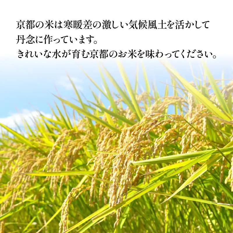 【令和8年産】 京都のお米 食べ比べ3種セット 3kg 6回定期便