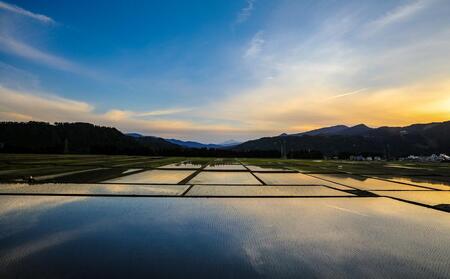 【2025年産新米】県認証米魚沼産コシヒカリ 20kg(10kg×2袋) 産地限定！農家直送 |津南町 魚沼産 コシヒカリ