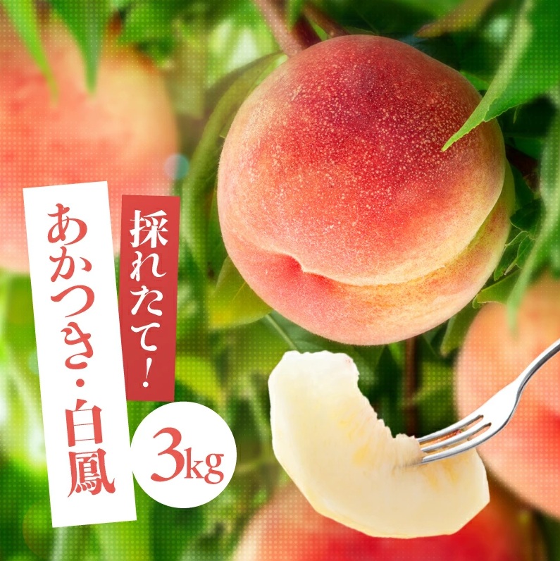 【2027先行予約】 南信州産「桃」約3kg〈あかつき・白鳳〉【2027年7月中旬～順次発送予定】| 果物 くだもの フルーツ 柿 桃 もも あかつき 白鳳 長野県 信州 南信州 飯田市