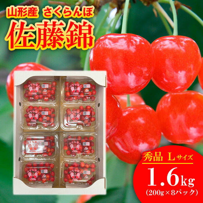 【ふるさと納税】さくらんぼ佐藤錦 Lサイズ 1.6kg(200g×8パック) 【令和7年産先行予約】FS24-662 くだもの 果物 フルーツ 山形 山形県 山形市 お取り寄せ 2025年産
