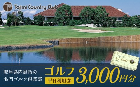 ゴルフ 平日利用券 3,000円分 多治見市/多治見カントリークラブ チケット ゴルフ場  [TCC001]