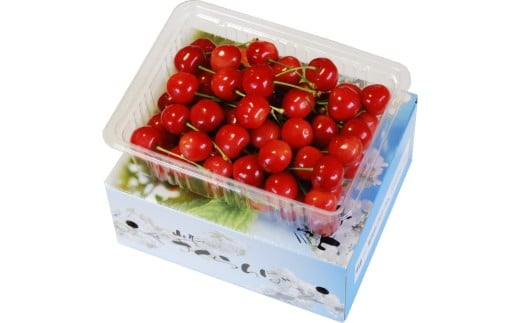 08-02-036　さくらんぼ(品種おまかせ)500g