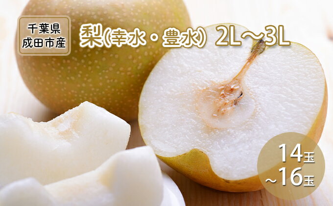 【ふるさと納税】梨 幸水 豊水 2L～3L 14玉～16玉 なし ナシ 和梨 果物 くだもの フルーツ 旬のフルーツ 旬の果物 デザート 千葉 千葉県 成田市　お届け：2025年7月20日～9月30日