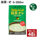 【ふるさと納税】【定期便】【6ヶ月毎2回】抹茶・オ・レ 250ml 計48本 計12L（24本×2回）抹茶オーレ 抹茶オレ 抹茶ミルク 抹茶 乳製品 乳飲料 クロレラ 緑茶ポリフェノール 飲み物 飲料 常温保存 お取り寄せ 静岡抹茶 朝比奈 熊本県産 菊池市 送料無料