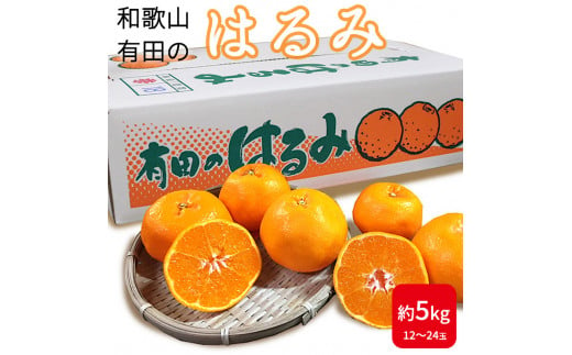 
ZE6381n_和歌山県産 有田の はるみ 5kg 12玉～24玉 【まごころ手選別】
