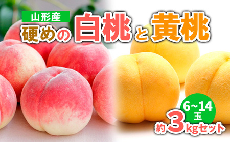 山形産 硬めの白桃と黄桃　約３kgセット（6～14玉)　秀品  【令和7年産先行予約】FS23-779 くだもの 果物 フルーツ 山形 山形県 山形市 2025年産