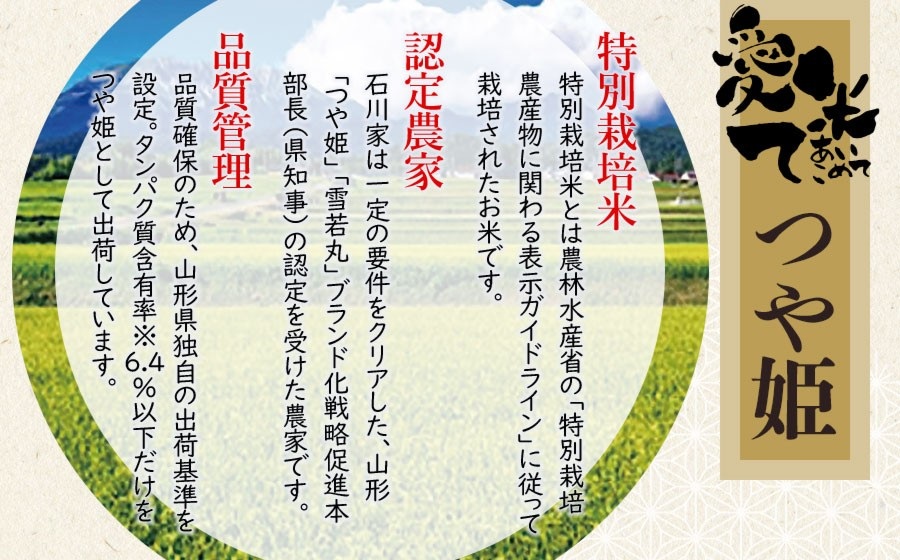 【令和8年産先行予約】【6ヶ月定期便】特別栽培米 つや姫　精米 10kg(5kg×2袋) × 6ヶ月　山形県鶴岡市産　愛米て　| 米 こめ コメ 10キロ ブランド米 庄内米 ごはん ご飯 美味しい 