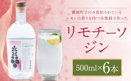 リモチーソジン 500mL×6本セット