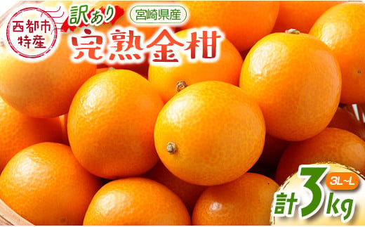 
訳あり 宮崎県西都市産完熟金柑 きんかん3kg（3L～L）西都市特産品＜1.2-41＞
